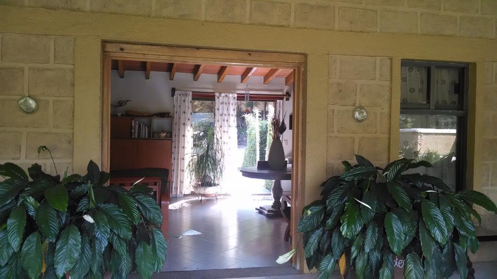 Hotel Boutique La Milagrosa Tepoztlán Eksteriør billede